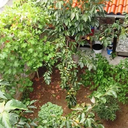 Kali Stalonia Apartment Nikiti  Exterior photo